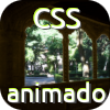 CSS animado